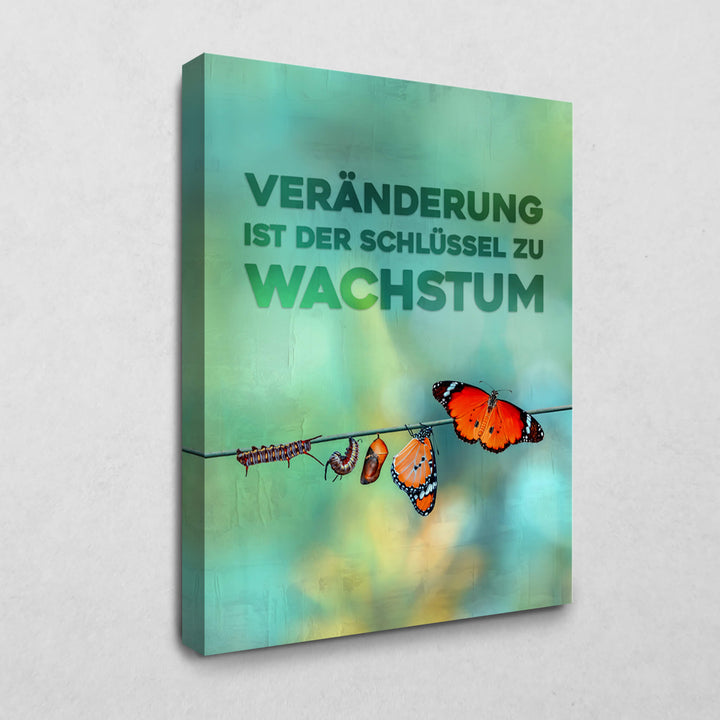 Wachstum